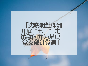 沈晓明赴株洲开展“七一”走访慰问并为基层党支部讲党课