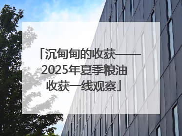 沉甸甸的收获——2025年夏季粮油收获一线观察