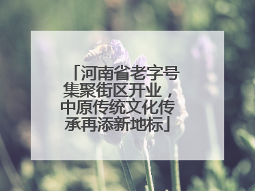 河南省老字号集聚街区开业，中原传统文化传承再添新地标