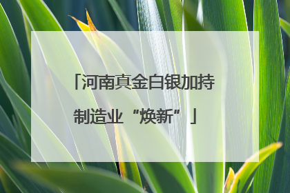 河南真金白银加持制造业“焕新”