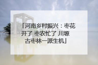 河南乡村振兴：枣花开了 枣农忙了 川塬古枣林一派生机