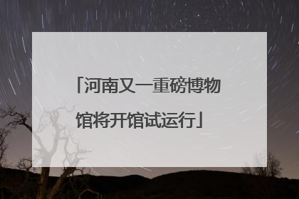 河南又一重磅博物馆将开馆试运行