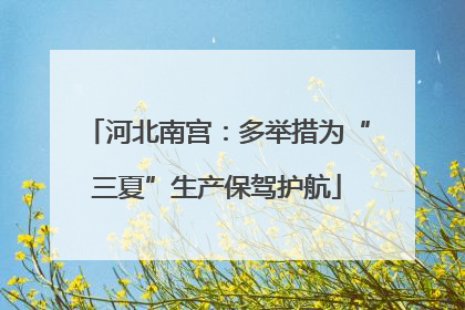 河北南宫：多举措为“三夏”生产保驾护航