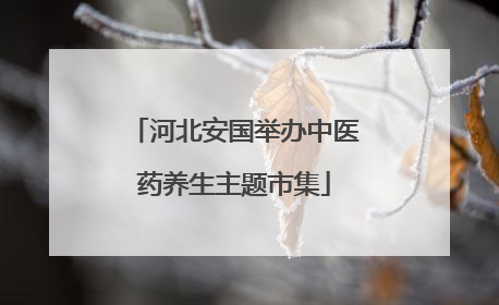 河北安国举办中医药养生主题市集