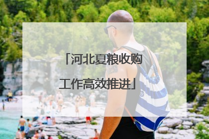河北夏粮收购工作高效推进