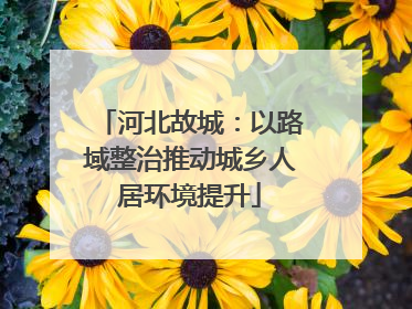 河北故城：以路域整治推动城乡人居环境提升