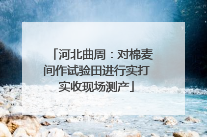 河北曲周：对棉麦间作试验田进行实打实收现场测产