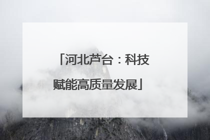河北芦台：科技赋能高质量发展