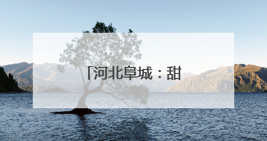 河北阜城：甜瓜飘香正当时