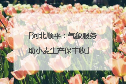 河北顺平：气象服务助小麦生产保丰收