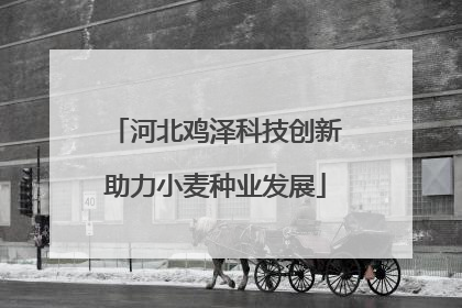 河北鸡泽科技创新助力小麦种业发展
