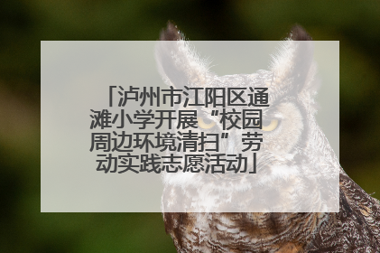 泸州市江阳区通滩小学开展“校园周边环境清扫”劳动实践志愿活动