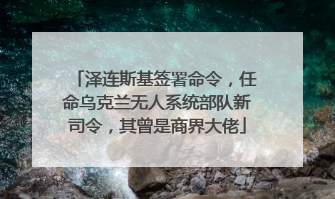 泽连斯基签署命令，任命乌克兰无人系统部队新司令，其曾是商界大佬