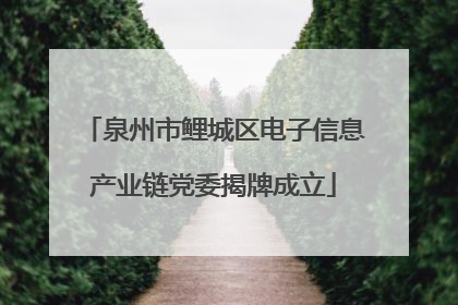 泉州市鲤城区电子信息产业链党委揭牌成立