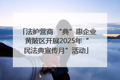 法护营商 “典”惠企业 黄陂区开展2025年“民法典宣传月”活动