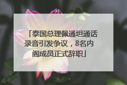 泰国总理佩通坦通话录音引发争议，8名内阁成员正式辞职