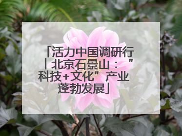 活力中国调研行丨北京石景山：“科技+文化”产业蓬勃发展