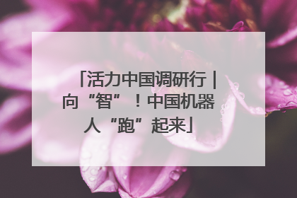 活力中国调研行｜向“智”！中国机器人“跑”起来