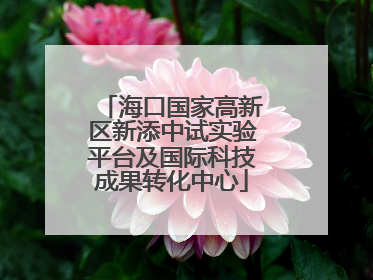 海口国家高新区新添中试实验平台及国际科技成果转化中心