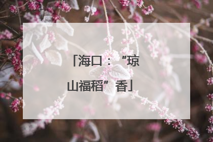 海口：“琼山福稻”香