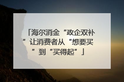海尔消金“政企双补”让消费者从“想要买”到“买得起”