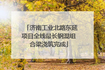 济南工业北路东延项目全线最长钢混组合梁浇筑完成