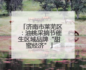 济南市莱芜区：油桃采摘节催生区域品牌“甜蜜经济”