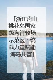 浙江舟山桃花岛国家级海洋牧场示范区：统战力量赋能海岛共富
