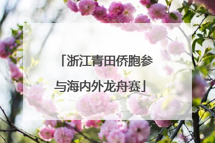 浙江青田侨胞参与海内外龙舟赛