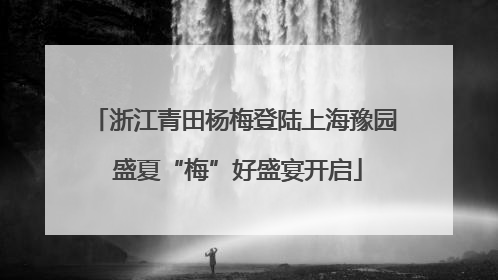 浙江青田杨梅登陆上海豫园 盛夏“梅”好盛宴开启
