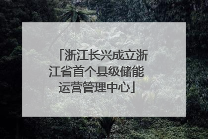 浙江长兴成立浙江省首个县级储能运营管理中心