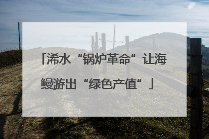 浠水“锅炉革命”让海鳗游出“绿色产值”