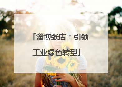 淄博张店：引领工业绿色转型