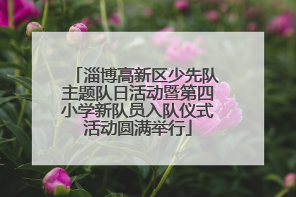 淄博高新区少先队主题队日活动暨第四小学新队员入队仪式活动圆满举行