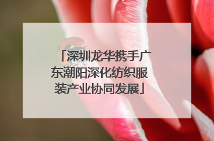 深圳龙华携手广东潮阳深化纺织服装产业协同发展
