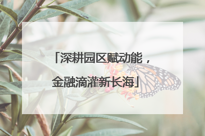 深耕园区赋动能，金融滴灌新长海
