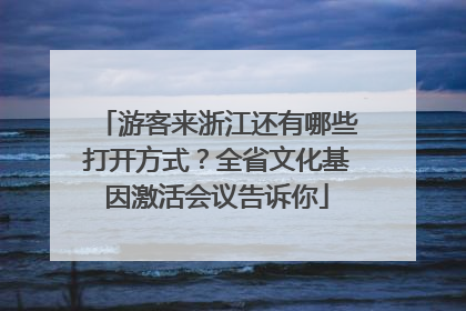 游客来浙江还有哪些打开方式？全省文化基因激活会议告诉你