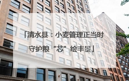 清水县：小麦管理正当时 守护粮“芯”绘丰景