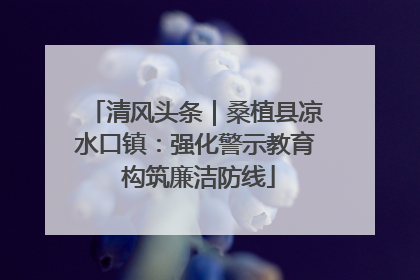 清风头条｜桑植县凉水口镇：强化警示教育 构筑廉洁防线
