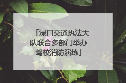 渌口交通执法大队联合多部门举办驾校消防演练
