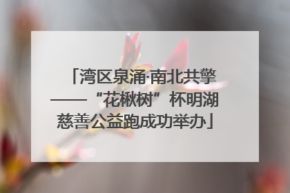 湾区泉涌·南北共擎——“花楸树”杯明湖慈善公益跑成功举办