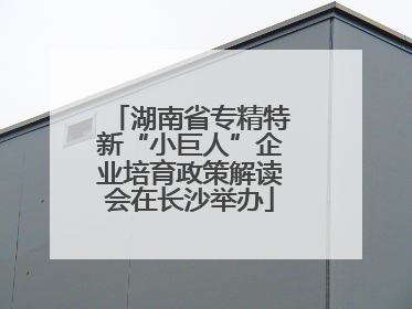 湖南省专精特新“小巨人”企业培育政策解读会在长沙举办