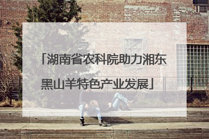 湖南省农科院助力湘东黑山羊特色产业发展