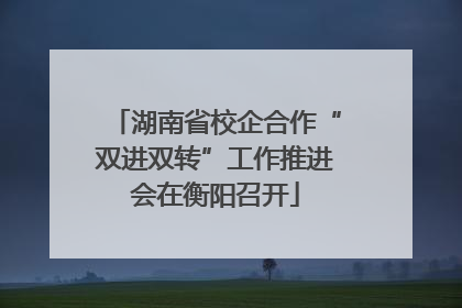 湖南省校企合作“双进双转”工作推进会在衡阳召开