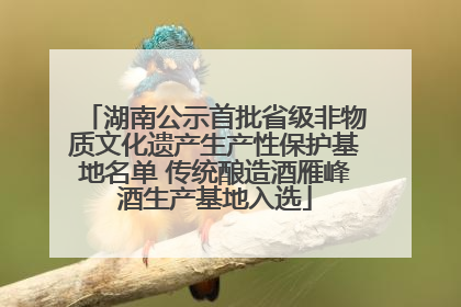 湖南公示首批省级非物质文化遗产生产性保护基地名单 传统酿造酒雁峰酒生产基地入选