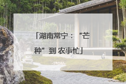 湖南常宁：“芒种”到 农事忙
