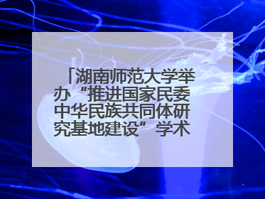 湖南师范大学举办“推进国家民委中华民族共同体研究基地建设”学术研讨会