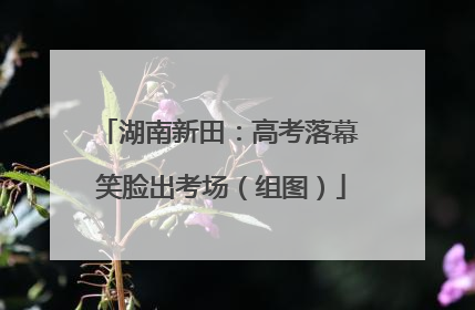 湖南新田：高考落幕 笑脸出考场（组图）
