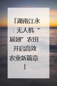 湖南江永：无人机“展翅”农田 开启高效农业新篇章
