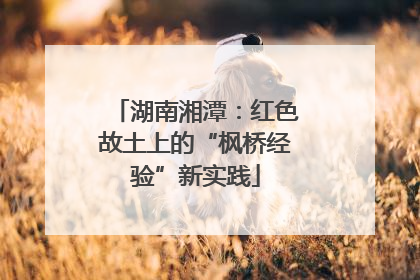 湖南湘潭：红色故土上的“枫桥经验”新实践